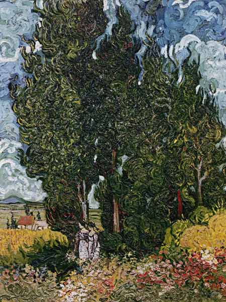 The cypresses, c.1889-90 von Vincent van Gogh