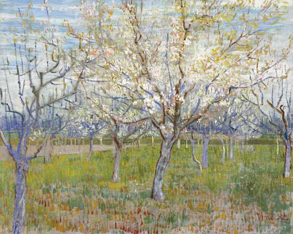 Rosa Obstgarten von Vincent van Gogh