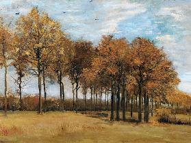Autumn landscape Nov. 1885