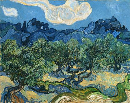 Landschaft mit Olivenbäumen 1889