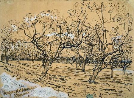 Orchard 1888