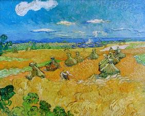 V.v.Gogh, Wheat Field w.Reaper/Ptg./1890
