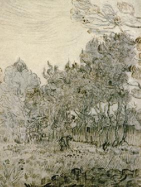 V.van Gogh, Garden of St Paul s Hospital