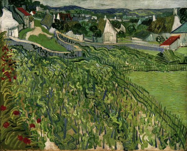 van Gogh / Vineyards at Auvers / 1890 von Vincent van Gogh