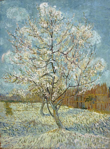 Blühender Pfirsischbaum von Vincent van Gogh