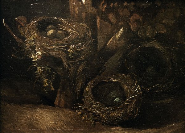 v.Gogh / Bird s nests / 1885 von Vincent van Gogh