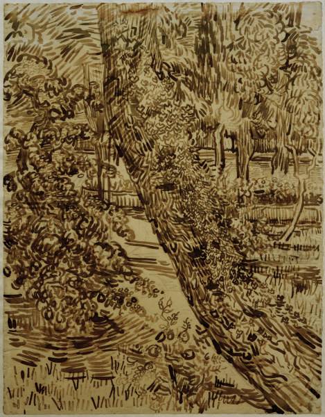 v.Gogh, Tree w.Ivy in Asylum Garden von Vincent van Gogh