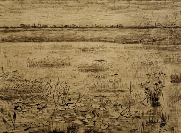 V.van Gogh, Marsh w.Water Lillies/ 1881 von Vincent van Gogh