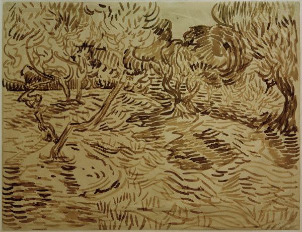 V.van Gogh, Olive Grove / 1889 von Vincent van Gogh