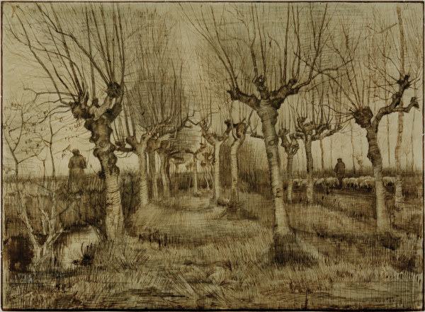 V.van Gogh, Pollard Birches / Draw./1884 von Vincent van Gogh