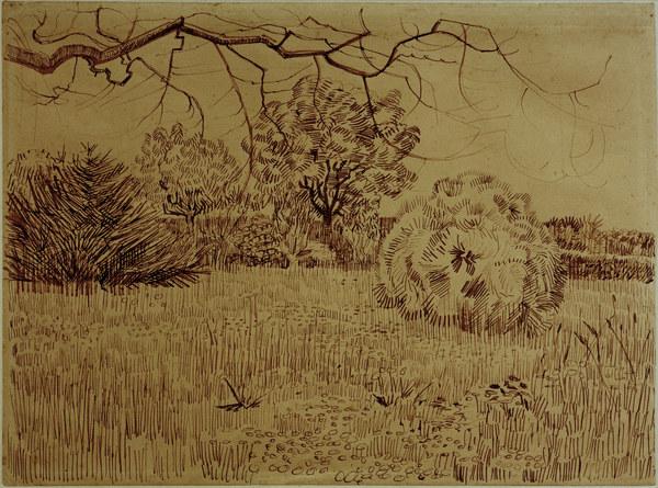 V.v.Gogh, Field w.Shrub / Drawing / 1888 von Vincent van Gogh