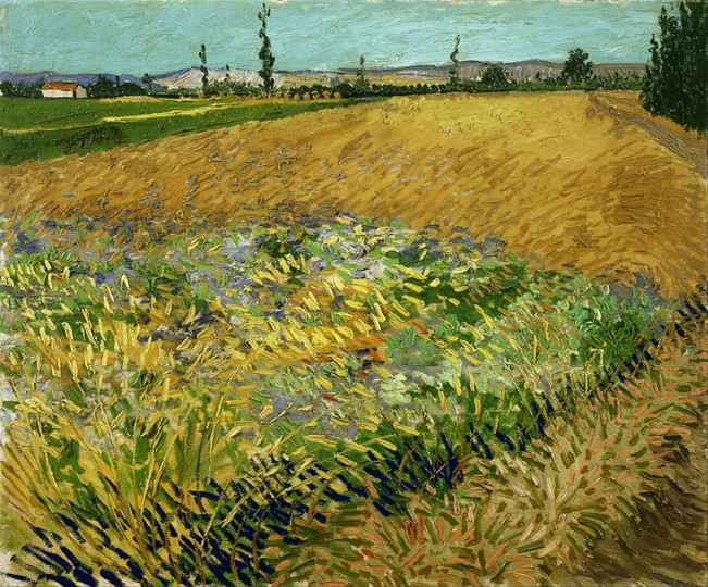Weizenfeld von Vincent van Gogh