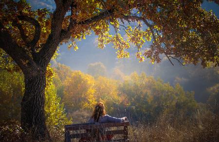 Frau sitzt auf einer Bank unter einem Baum und blickt auf einen gelben Herbst