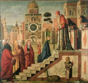 Presentation of Mary in the Temple, oil on canvas 1504-8