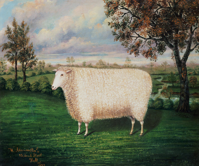 A Prize Sheep of the Old Lincoln Breed von W. Adamson