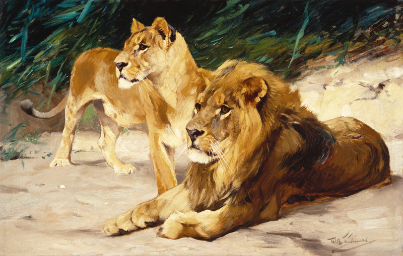 Löwenpaar. von Wilhelm Kuhnert