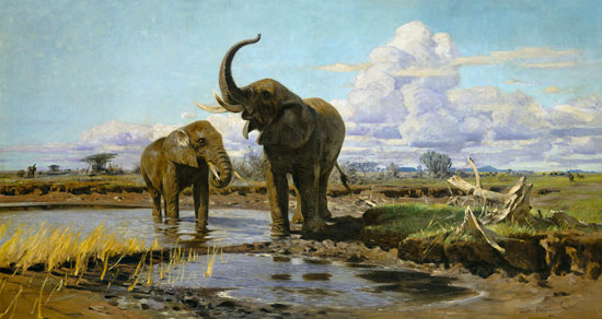 Elefanten an der Wasserstelle von Wilhelm Kuhnert