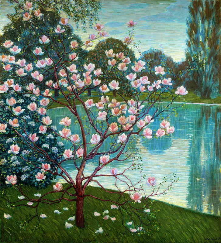 Magnolia von Wilhelm List