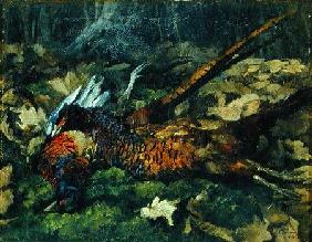 Pheasants 1873