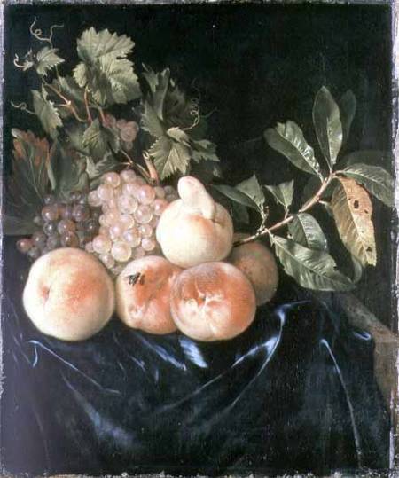 Still Life with Peaches and Grapes von Willem Frederik van Royen