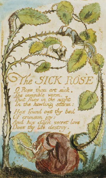 The Sick Rose, from Songs of Innocence von William Blake