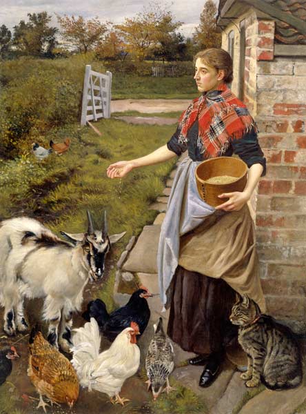 Feeding the Chickens von William Edward Millner