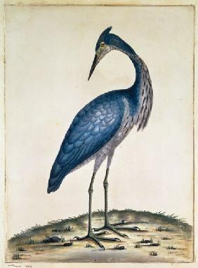 A Heron 1789