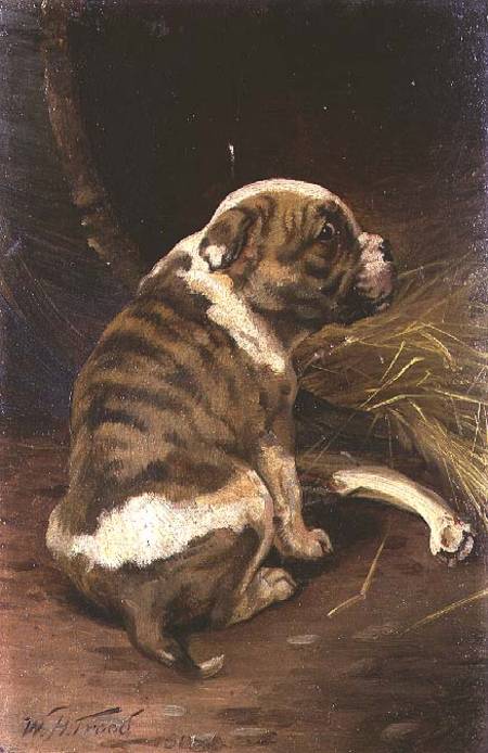 Give a Dog a Bone von William Henry Hamilton Trood