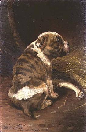 Give a Dog a Bone 1888