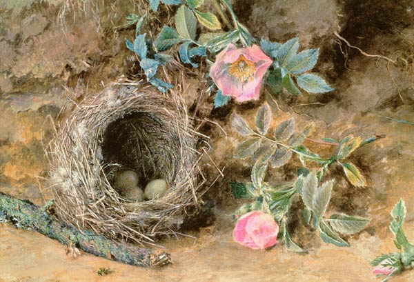 Wild Roses and Birds' Nests von William Henry Hunt