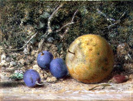 Three Grapes and an Apple von William Henry Hunt