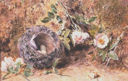 Still Life with Chaffinch Nest von William Henry Hunt