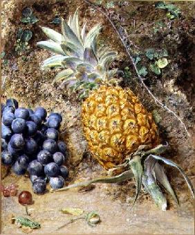 Grapes and a Pineapple