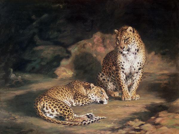 A Pair of Leopards von William Huggins