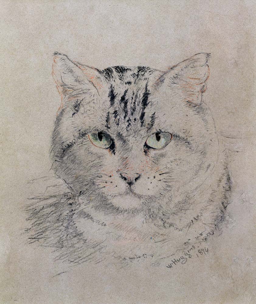 Tabby Cat von William Huggins