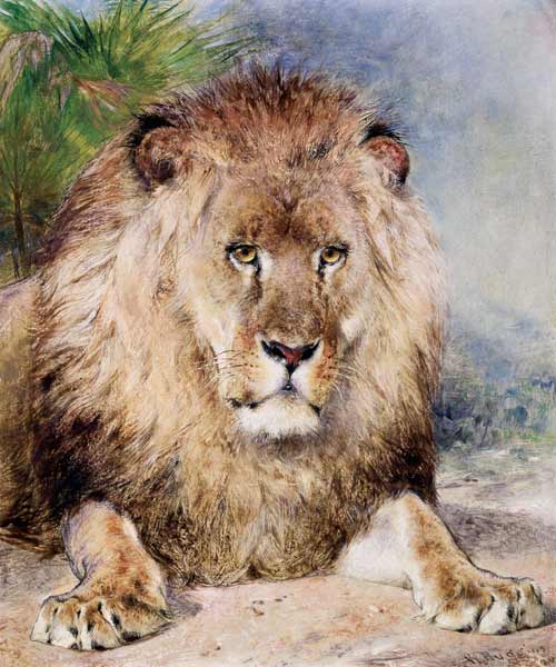 Lion von William Huggins
