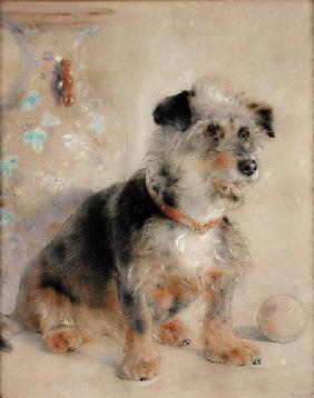 Terrier seated before a Canton Famille Rose Vase 1868 stel