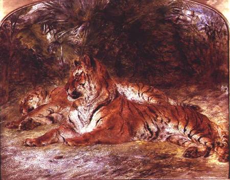 Tigers von William Huggins