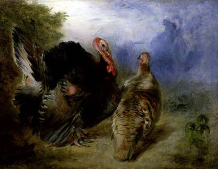 Turkeys von William Huggins