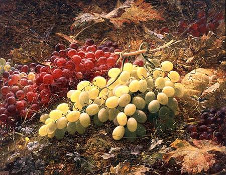 Grapes von William Jabez Muckley