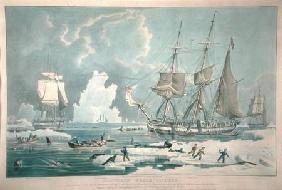 Northern Whale Fishery, engraved by E. Duncan 1829 our