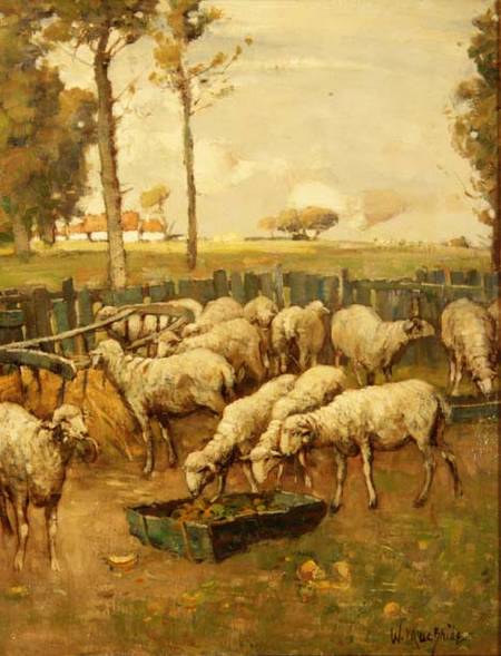 The Sheep Fold von William McBride