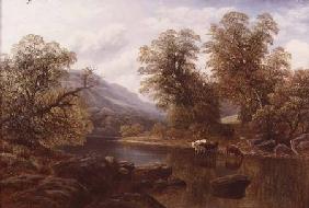 Landscape with a River and Cattle