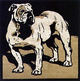 Der britische Bulldog, aus "The Square Book of Animals", herausgegeben von William Heinemann, 1899 1899