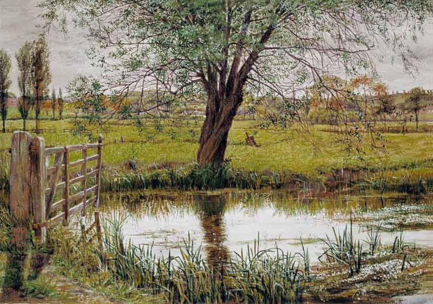 Water Meadow von William Scott