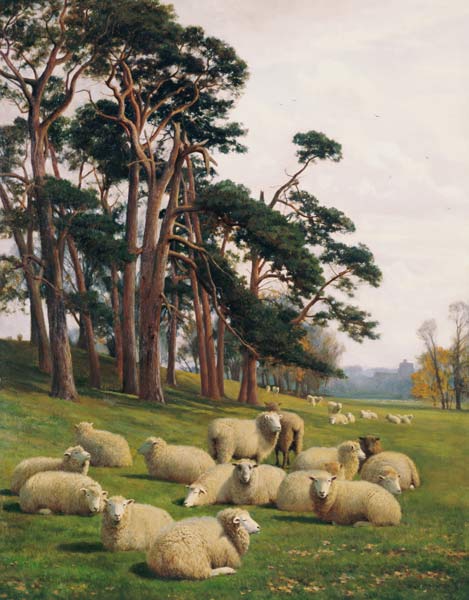 Sunlit Pastures von William Sidney Cooper