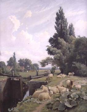 Landscape with a Canal Lock and a Flock of Sheep 1884