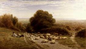The Sunny Side of a Shepherd's Life - Near Eastbourne 1873