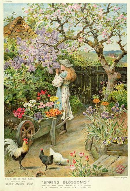 Spring Blossoms, from the Pears Annual von William Stephen Coleman