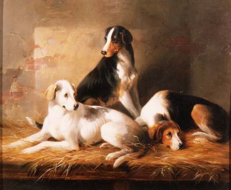 Three Hounds in a Stable von William u. Henry Barraud